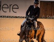xx FZ TosTour2013- S5 3144 : Arezzo, Arezzo Equestrian Centre, Cavalli d'Italia, Toscana Tour 2013, foto di Stefano Secchi ©, xx FZ